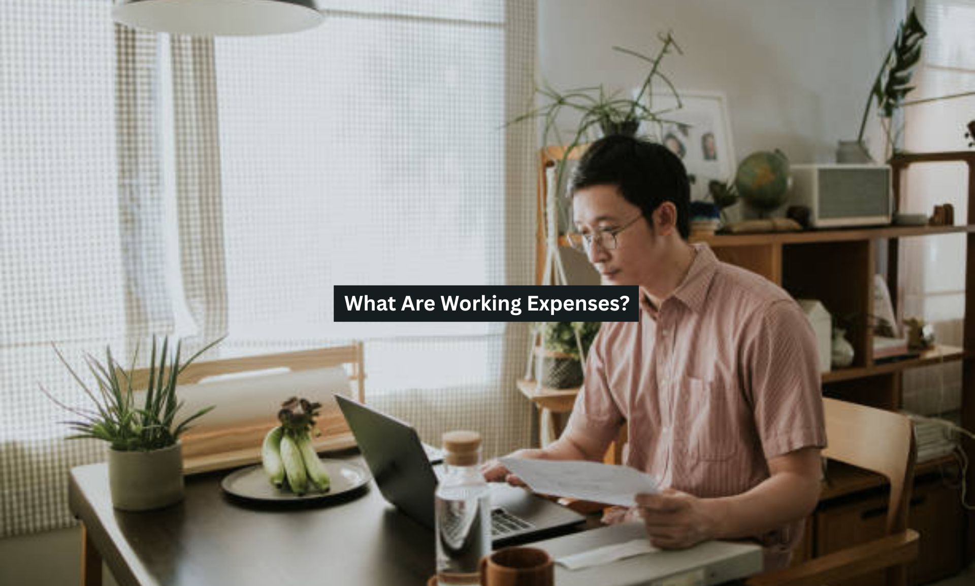 What Are Working Expenses?