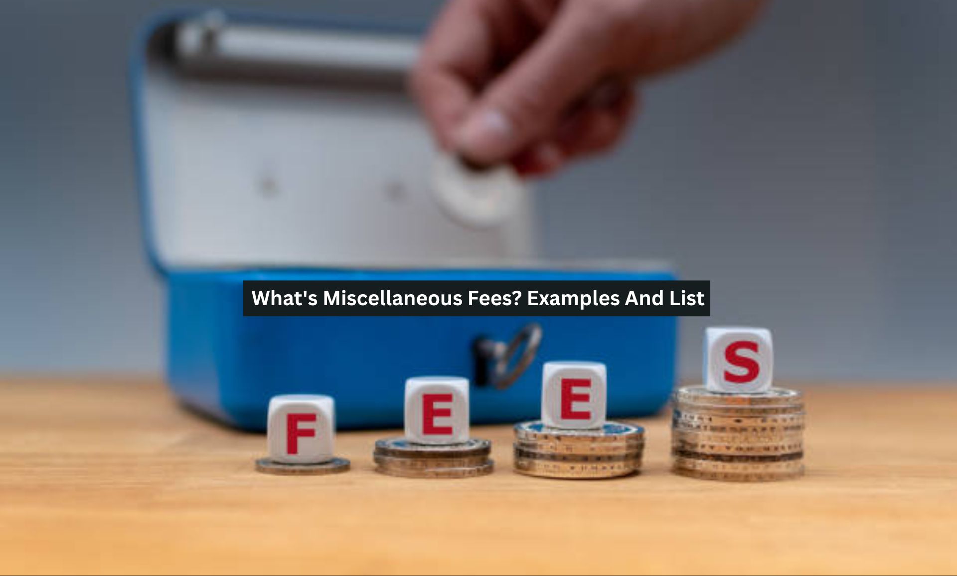 What’s Miscellaneous Fees? Examples And List
